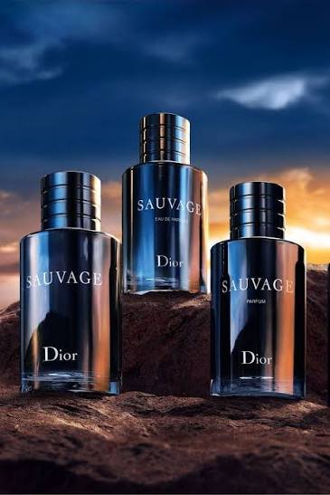 sauvage elixir